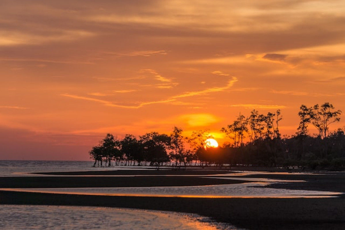 Malang Nih BOS! Bosen Wisata Pantai Langsung Gas Wisata Glamping Terkeren di Malang Jawa Timur, Harga Murah Beda dari yang Lain