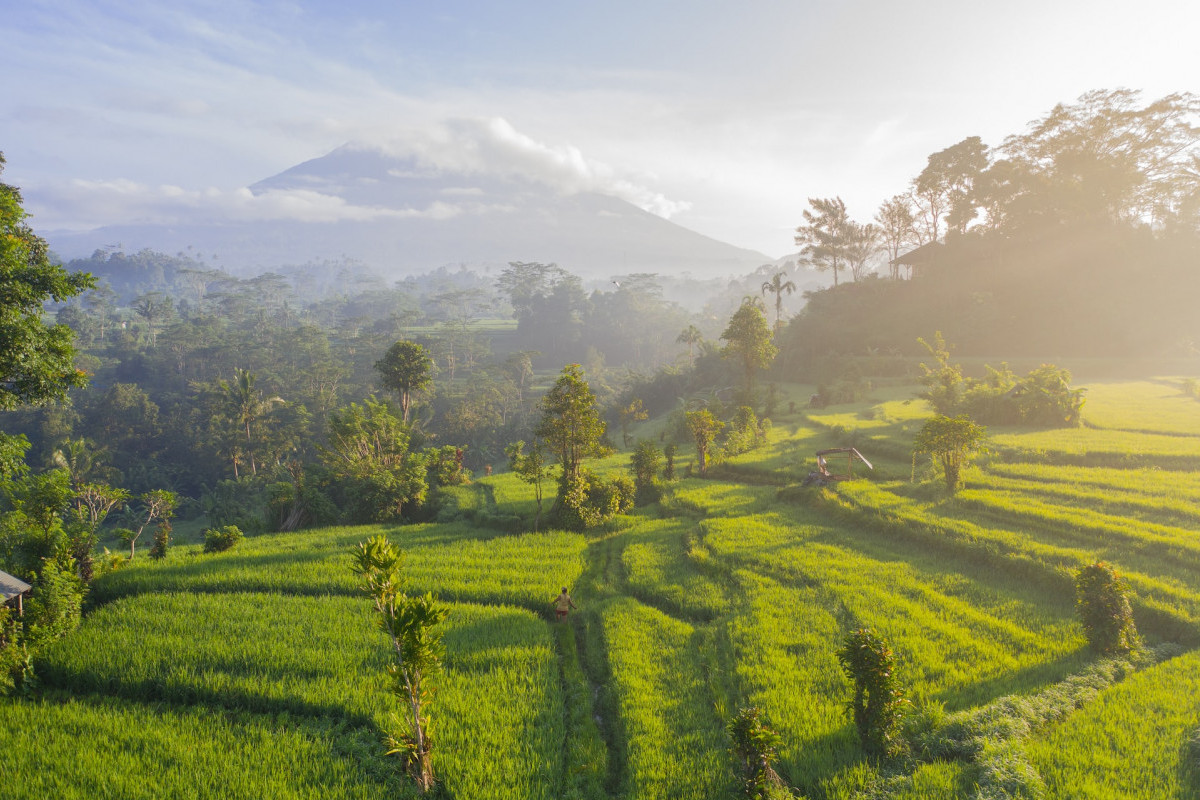 Bukan Cuma Badung, Ternyata Ini Daerah di Bali yang Sering Kali Dikunjungi Wisatawan Asing, Nomer 1 Gak Nyangka