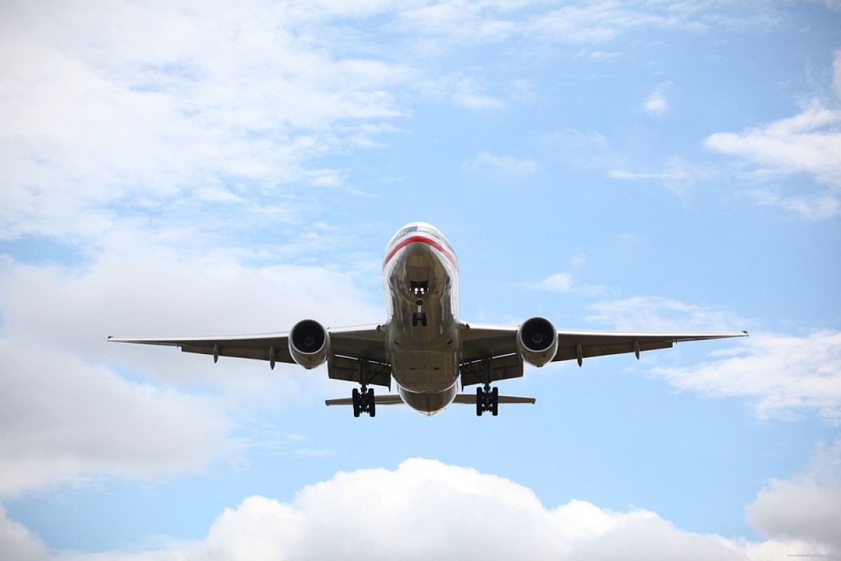 Demi Buat Bandara Megah di Jawa Tengah, Lahan Jati Seluas 27 Hejtar Akhirnya Dibabat Habis Setelah Restu Mendarat dari Kemenhub