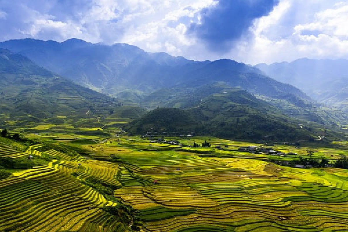 Rahasia Rumah Mewah Klasik yang Tersembunyi di Kabupaten Majalengka, Diapit oleh Kehijauan Sawah: Simak Estimasi Biaya Pembangunannya!