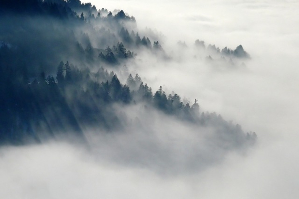 TERKUAK Misteri Gunung Mereki di Gorontalo yang Sempat Buat Panik dan Ketakutan Warga, Google Eart Tunjukkan Foto Akurat, Ngeri! Ada Longsong Besar