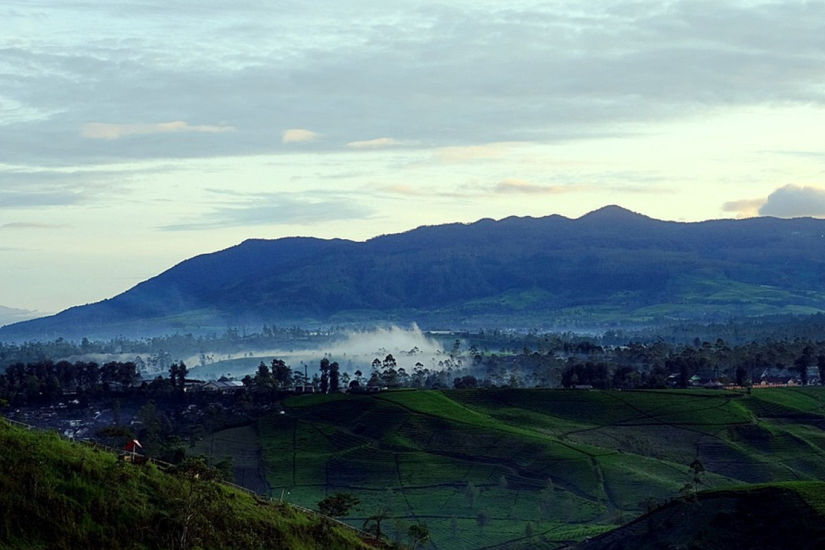 Berita Terkini! Rencana Pemekaran Provinsi Sultim di Sulawesi Tengah Diperbincangkan, Morowali Dipertimbangankan Sebagai Calon Ibukota?