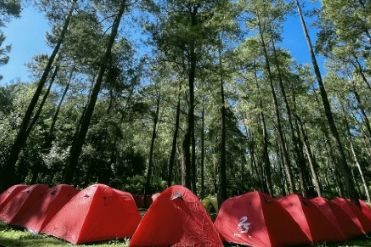 Rekomendasi Air Terjun Favorit di Malang, Wisata Coban Rondo Jadi Pilihan? Simak Jadwal Wisata Hingga Harga Tiket