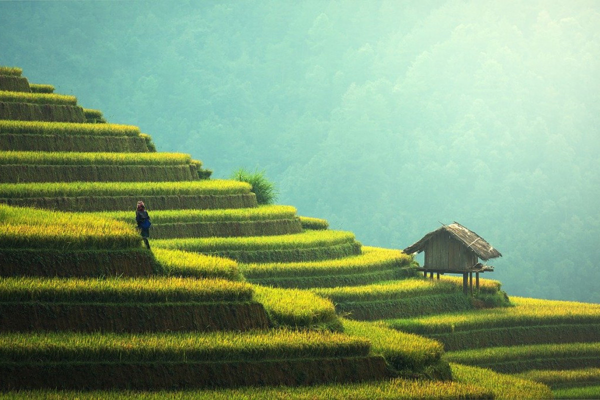 Keindahan Rumah Mewah Klasik di Kabupaten Majalengka yang Terselip di Antara Hijauan Sawah, Berapa Biaya Total untuk Mewujudkannya?