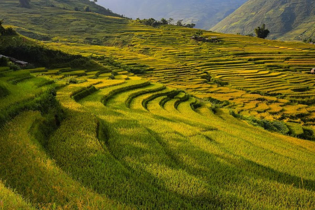  Inilah Kepanjangan Solok Sumatera Barat Ternyata dari Singkatan, Simak Sejarah dan Asal Usulnya yang Ternyata Tak Hanya Dikenal Kota Beras