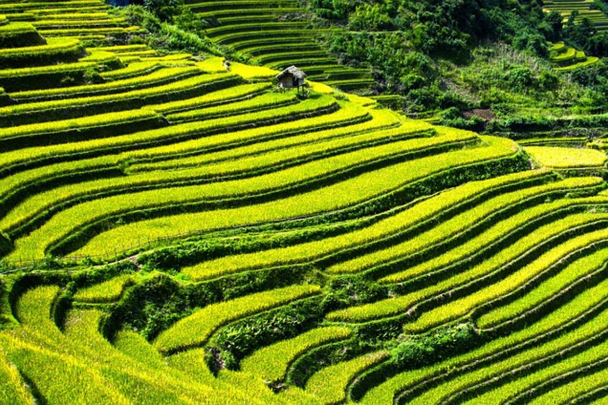 Melacak Jejak Pengangguran! Lima Lokasi di Sumatera Utara yang Mengalami Penantian Panjang Akan Pekerjaan, Medan Juga Menghadapi Isu Serupa?