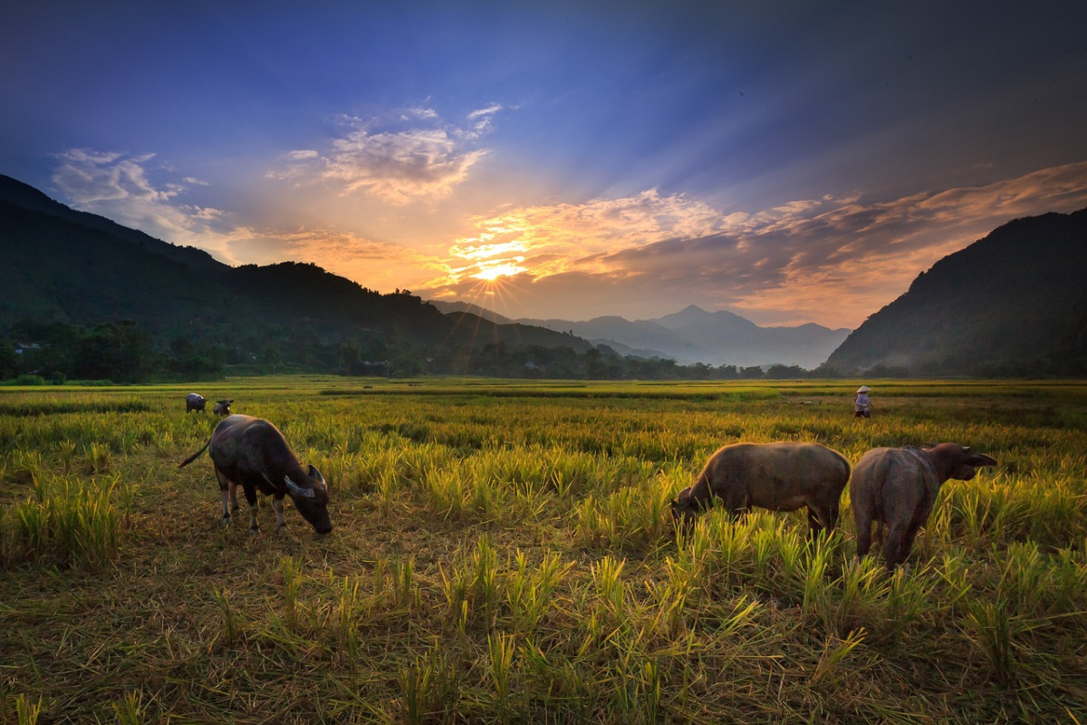 Mengungkap Keunikan Kampung Tersembunyi di Mojokerto yang Menjadi Sebutan Desa Paling Terpencil di Dunia, Dengan Hanya 2 Keluarga yang Tinggal! Simak Lokasinya!