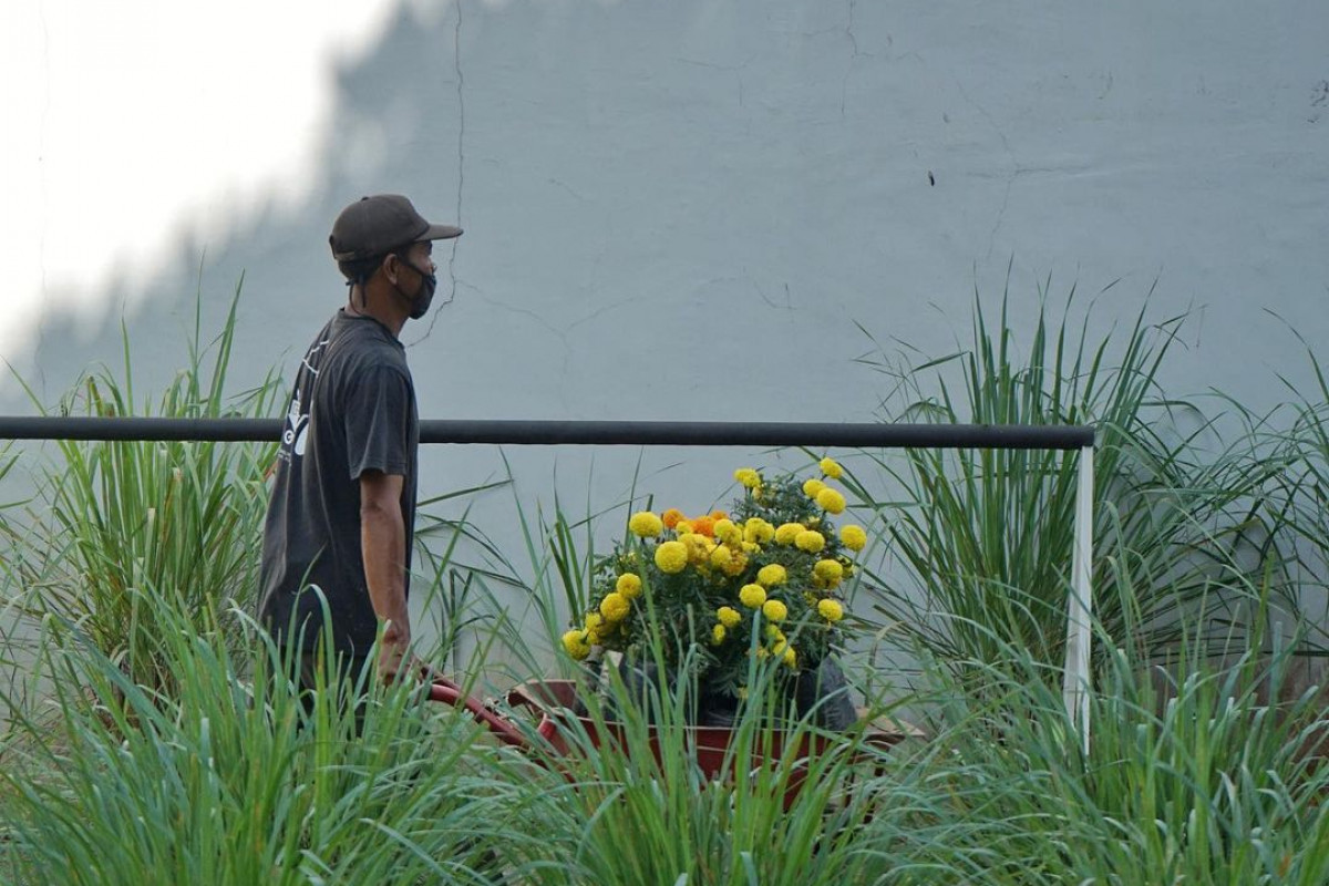 Jawa Tengah Jadi Rekomendasi Wisata Herbal Indonesia, Rumah Atsiri Indonesia hingga Jamu Hortus Medicus Jadi Lokasi Favorit