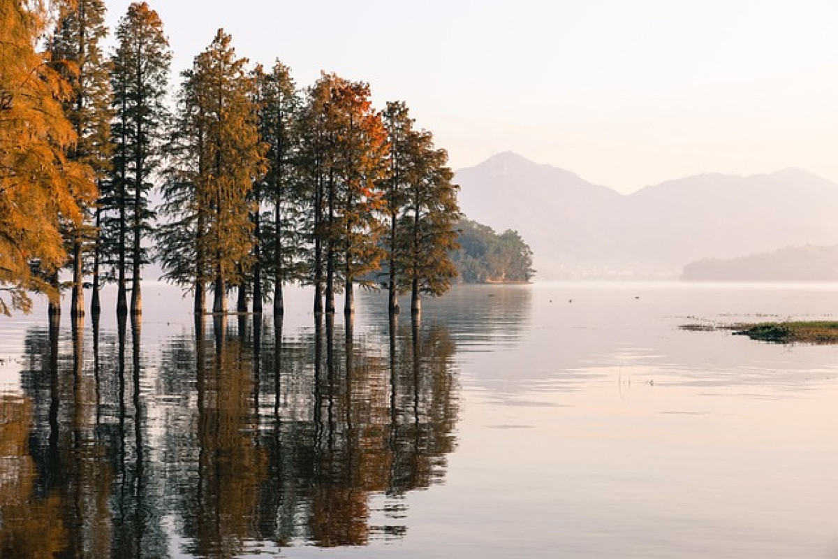 Heran! Sungai di Maluku Tengah Ini Sangat Unik hingga Bikin Orang Lain Pada Melamun Saat Melihatnya, Ada Apa dengan Sungainya?