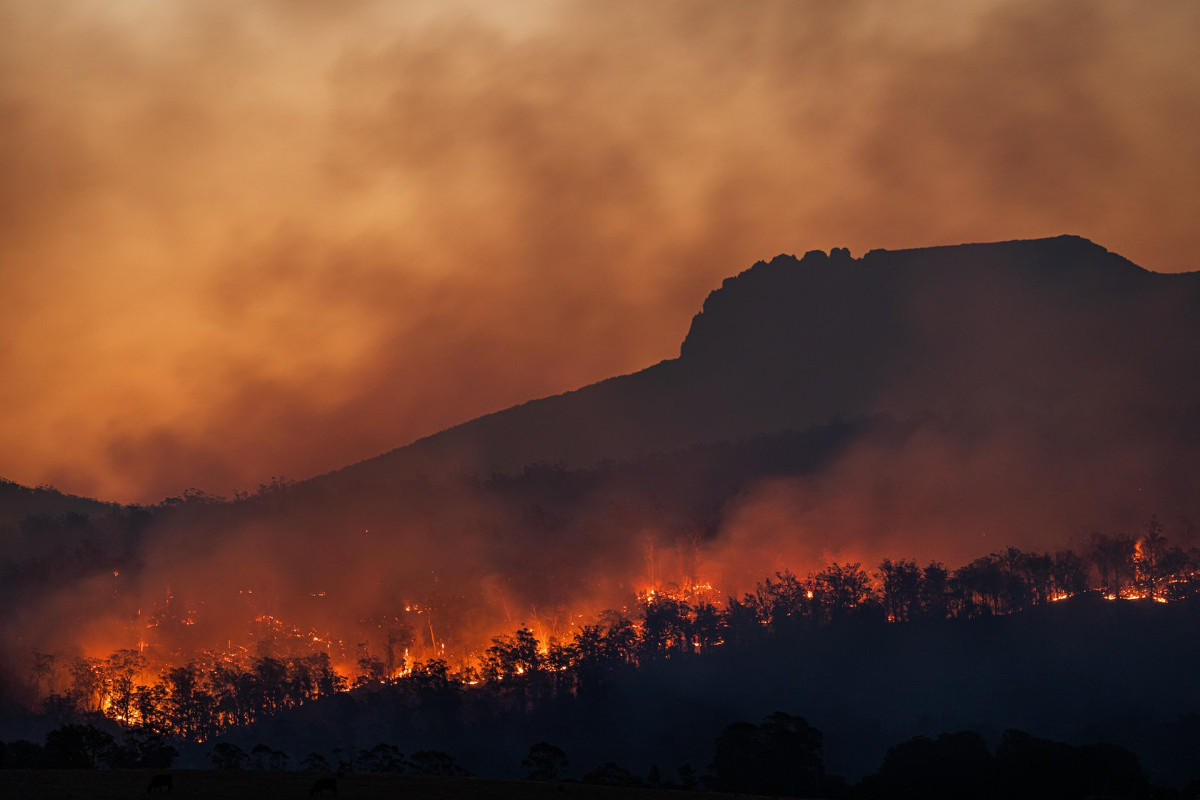 Apa Dampak Pemanasan Global Bagi Manusia dan Lingkungan? Jangan Sepelekan Ternyata Ini Pemicu Global Warming