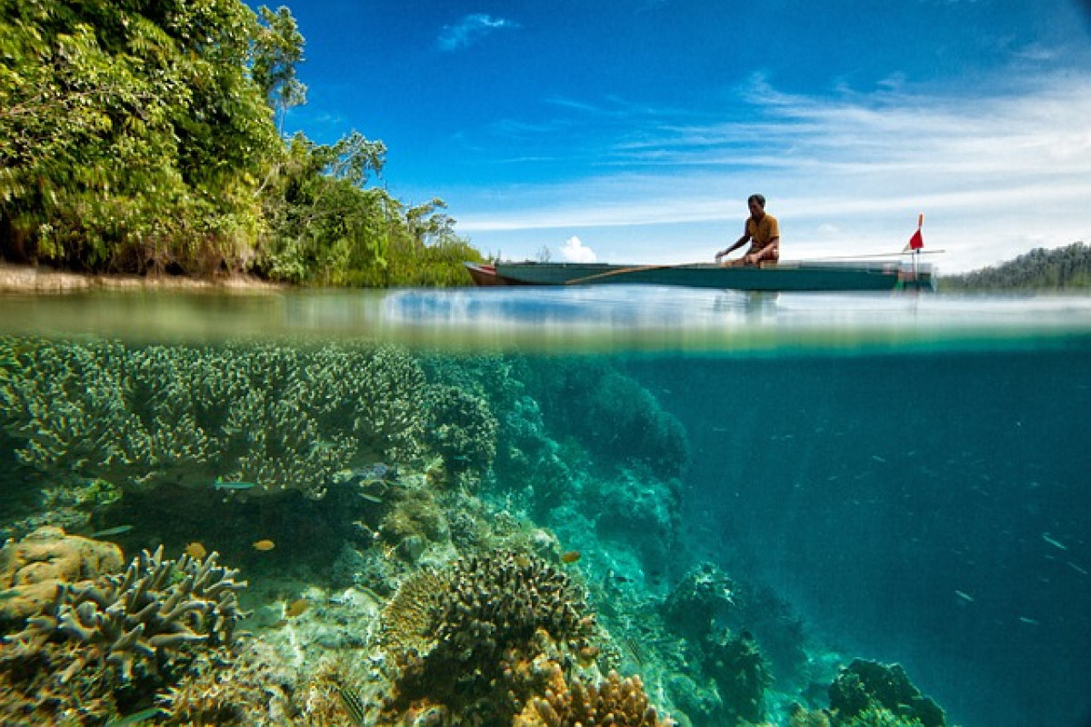 Tak Hanya Pangkal Pinang, 3 Daerah Paling KAYA di Bangka Belitung, Langsung Cek Apa Ada Daerahmu?