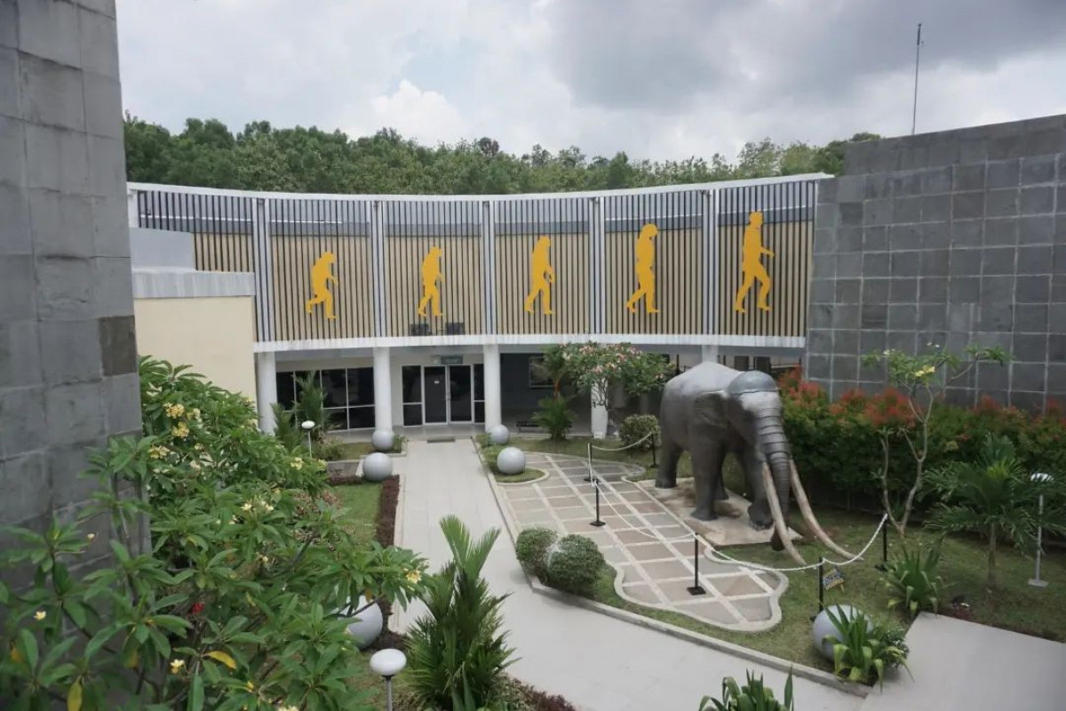 Bukan Malang, Ini 3 Rekomendasi Museum Baru di Indonesia Tawarkan Pengetahuan Tentang Fosil, Jawa Tengah Ada?