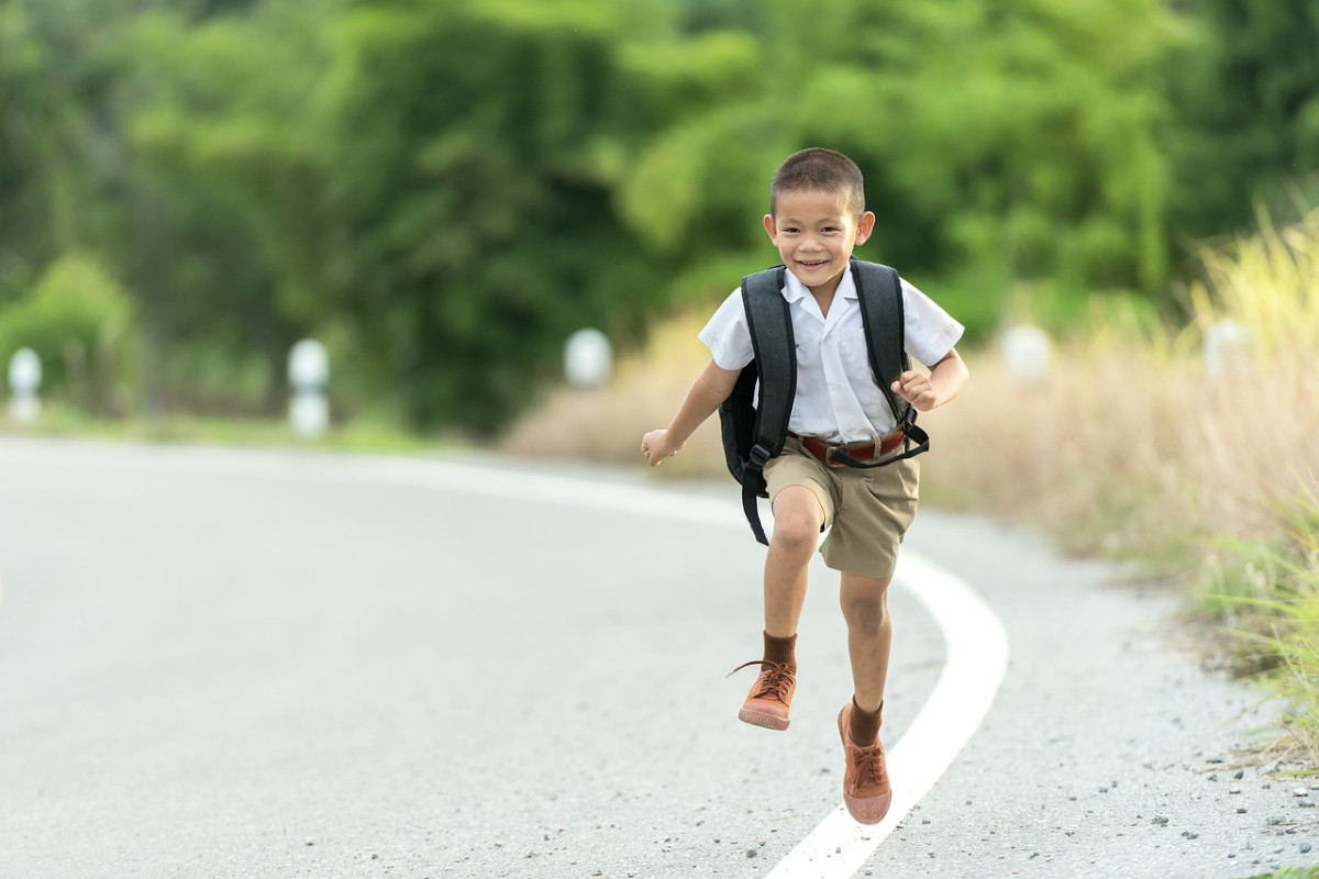 Sekolah Dasar Terbaik di Kulon Progo, 10 SD Terbaik Akreditasi A Favorit dan Unggulan Siswa Baru! Cek Sekolah Kamu