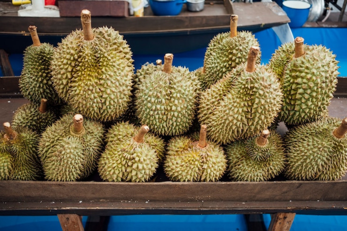 Bukan Demak dan Sukoharjo! Berikut 5 Daerah Penghasil Durian Terbesar di Provinsi Jawa Tengah, Hobi Panen Besar