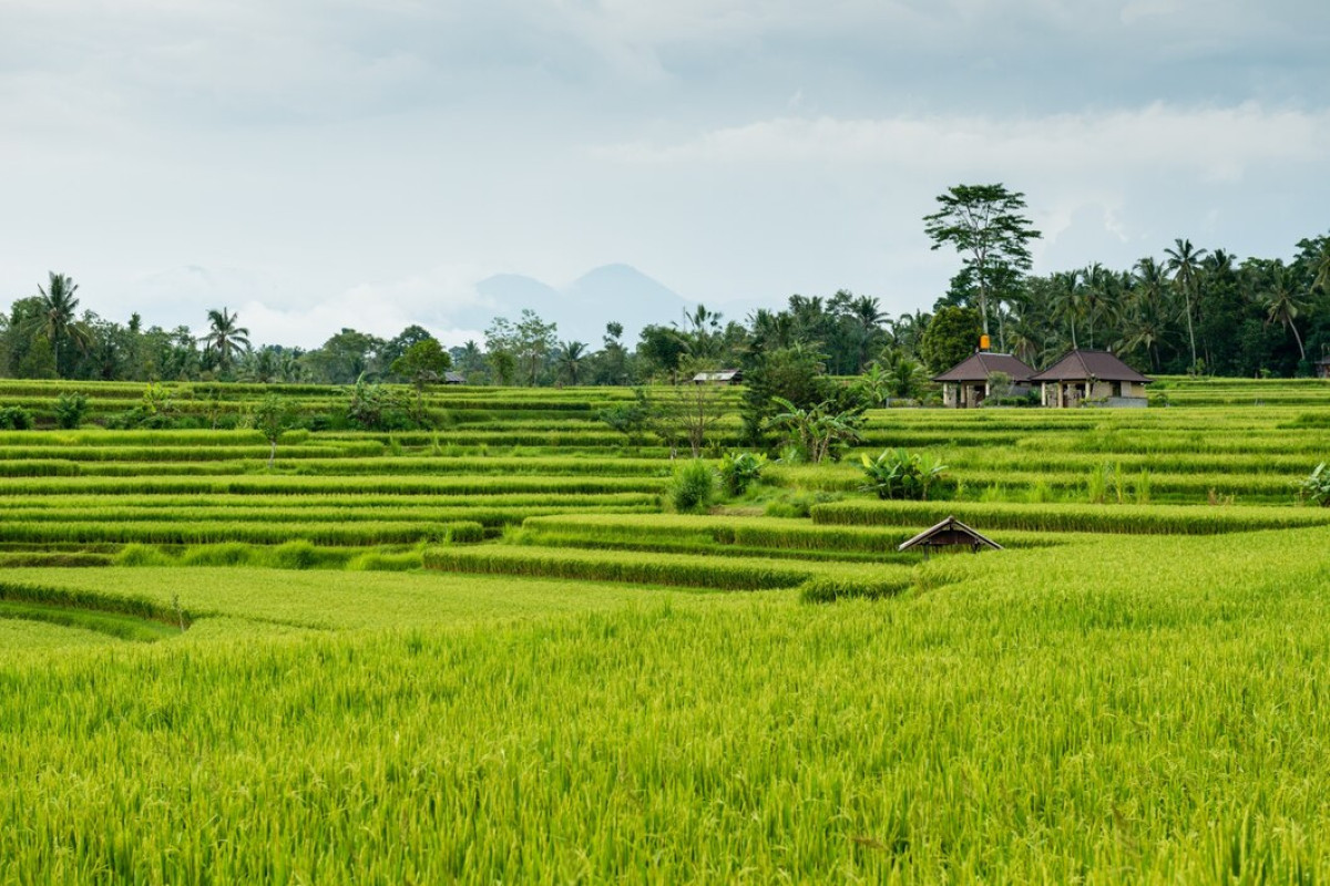 Diresmikan pada 22 Desember Ternyata Sumatera Barat Punya Nama Kota yang Terinspirasi dari Negera Belanda, Rupanya Pernah Dijadikan Ibukota Negera Setelah DIY