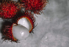 Ternyata Bukan di Binjai! Ini Daftar Daerah Penghasil Buah Rambutan Terbesar di Sumatera Utara, Wilayah Mana ya?