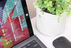 Kupas Tuntas Microsoft Office, Dari Pengertian Hingga Fungsi Layanan-Layanannya