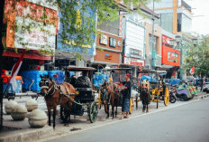 Daftar Penginapan Murah di Jogja Lengkap dengan Harga dan Alamat, Dekat Malioboro! Langsung CEKIDOT, Backpaker Merapat Skuyy