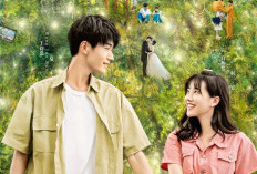 BARU! Link Nonton Drama China Summer In Love Episode 6 SUB Indo, Bisa Download Tayang di WeTV Original Bukan Telegram