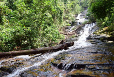 Simak 5 Rekomendasi Tempat Wisata di Kota BATU Jawa Timur, Salah Satu Wisatanya Bisa Buat Sembuhkan Stroke?