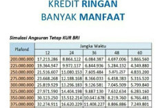 Info Lengkap Pinjaman KUR BRI Rp500 Juta Beserta Jenis Kredit hingga Informasi Syarat lolos Agar Cair Secara Langsung