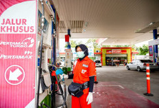 Ada Kenaikan, Cek Harga BBM Shell Hari ini Kamis 2 Februari 2023 di Jakarta, Banten, Jabar hingga Jatim dan Sumatera Utara