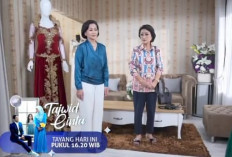 Sinopsis Cerita Tajwid Cinta Besok Minggu, 4 Desember 2022 di SCTV: Nadia Berjanji akan Membunuh Siapapun yang Menghalangi Pernikahan Alena dan Dafri 