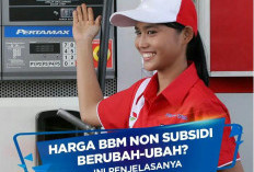 TERBARU Harga BBM Hari Ini Selasa 21 Maret 2022 untuk Wilayah Aceh Hingga Jawa, Cek Harga BBM di SPBU Shell, BP, Vivo!