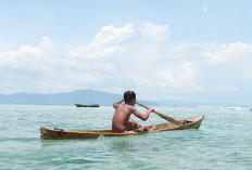 Inilah 5 Kabupaten Kota di Sulawesi Tengah yang Paling Padat Penduduk hingga Paling Ramai Gak Pernah Kesepian, Rumahmu Ada yang Disini?