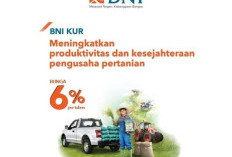 Langsung Cair Rp500 Juta! Begini Aturan Baru Pengajuan KUR BNI 2023, Cepat dan Mudah Tak Perlu Sertakan Jaminan Tambahan