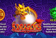 Pola Baru Gacor Jackpot Higgs Domino, Gampat Muncul Slot 5 Dragons, Pemula Wajib Baca