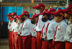 10 SD Terbaik di Kabupaten Semarang Versi Kemdikbud, Simak Sekolah Dasar Langganan Juara Jawa Tengah