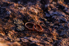 Harga Emas Antam Turun Rp14.000 per Gram pada 8 Januari 2026: Simak Analisis Mendalam, Daftar Harga Lengkap, dan Strategi Investasi di Tengah Koreksi Pasar