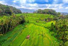 Bandung Akhirnya Ditinggalkan Wilayah dengan Luas 40,37 Km² Atas Izin dari Presiden, Benarkah Untuk Bentuk Ibukota Baru?