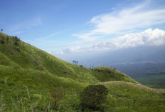 Gunung di Kota Ponorogo Menjadi Tempat Wisata Paling Menarik di Indonesia, Inilah Daftar Gunung Terbaik di Ponorogo