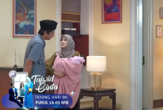 Yuk Bro Tayang Lagi Tajwid Cinta Besok Minggu, 2 April 2023 di SCTV: Syifa Berniat Menculik Anak Alina, Dafri Tidak Bisa Berbuat Apa-Apa