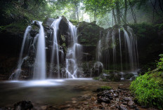 5 Tempat Wisata di Jombang Jawa Timur Terpopuler, Sajikan Keindahan yang Menarik Perhatian Para Pecinta Alam