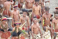 Simak 5 Daftar Kampus Terbaik di Papua, Inilah Kampus Favorit Ternyata Punya Banyak Prestasi Unggulan