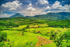 Sunyi Banget Gak Nih? Ini 7 Jajaran Kota Tersepi di Jawa Timur, Gede Wilayahnya Sepi Penduduknya