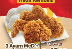 Hari Terakhir Promo MCD HUT BCA Hari ini Minggu 26 Feb 2023, Diskon 66%, Cashback 66% hingga Ongkir Cuma Rp 1000