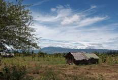 MIRIS! Inilah 5 Daerah Termiskin di Jawa Timur, Gak Nyangka Banyak Pengangguran, Nomor 1 Bikin Melong Ternyata