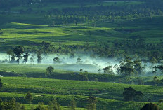 BANDUNG Merapat! Berikut 3 Usulan Penggabungan Daerah di Jawa Barat, Ini Beneran?