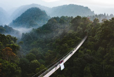 Masuk Desa dengan Penghargaan ADWI, Simak 5 Desa Wisata Terbaik di Magetan Beri Keindahan Alam Mempesona