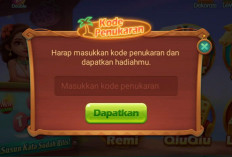 Segera Tukarkan dan Dapatkan Chip Gratis, Ini Cara Pakai Kode Redeem Higgs Domino Terbaru