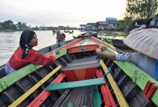 Jangan Kaget! Kabupaten Sempit di Kalimantan Barat Tapi Miliki Penduduk Terbanyak, Tapi Lebih Sempit dari Singapura, Mana Nih?