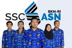 2 Cara Tenaga Honorer Bisa Langsung Jadi ASN 2023 Menurut Kementerian PAN RB, Dijamin Ampuh!