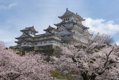 Kagoshima Jepang! Kota yang Terkenal Seperti Naples of the East, Mari Eksplorasi 4 Destinasi Wisata Mengagumkan, Siapa Diantaranya?