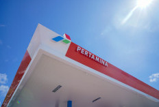 Ternyata Segini Harga Asli Pertalite dan Solar Bila Tak Disubsidi