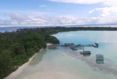 Pulau di Indonesia Dijual? Berapa Jumlah Pulau di Wilayah Indonesia Timur? Terbanyak di Papua Barat