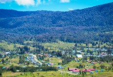 5 Kabupaten di Indonesia Ini Ternyata Dipenuhi Salju, Bukan Cuma Papua Tapi Nomer 3 Gak Disangka Banget!